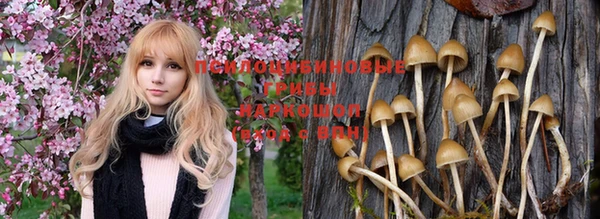 мефедрон мука Нязепетровск