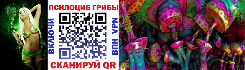 площадка наркотические препараты купить Калтан Псилоцибиновые грибы прущие грибы